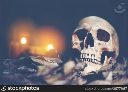Human skull, Halloween concept, vintage filter image