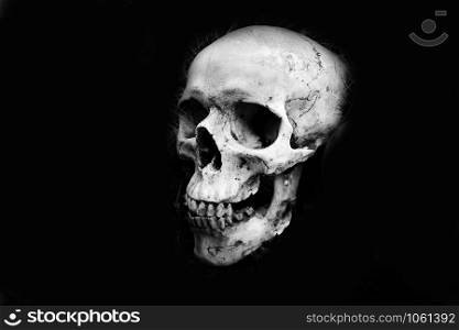 Human Skull head on dark black background - Monochrome