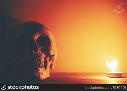 human skull in Halloween concept, vintage filter image