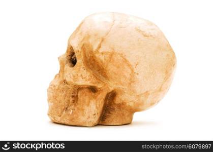 Human skull isolated on the white background