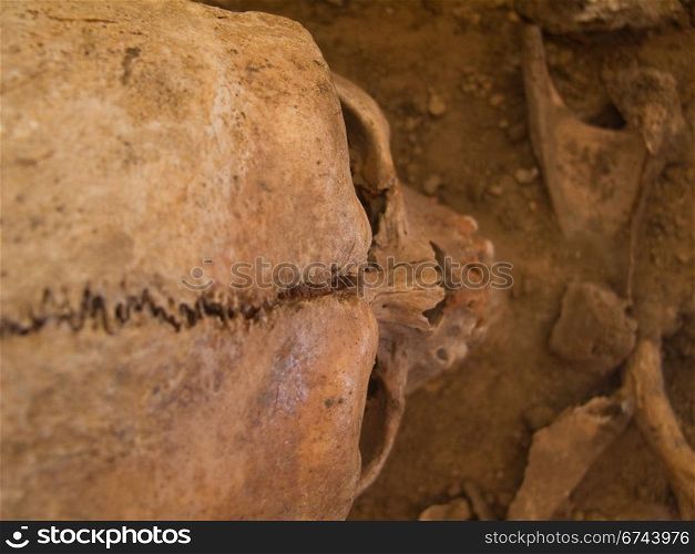 Human skull seen from above. Human skull seen from above with soil in the background