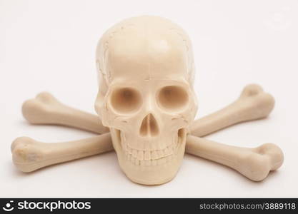 human skull with crossed bones