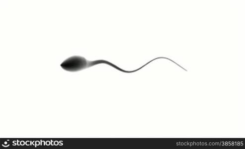 Human sperms competition on white background
