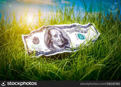 Hundred dollars in the green grass