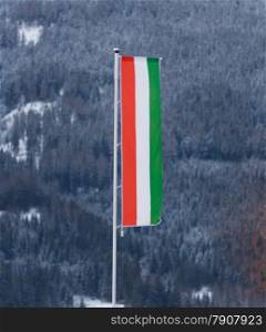 Hungarian flag on big pole against fir forest covered by snow
