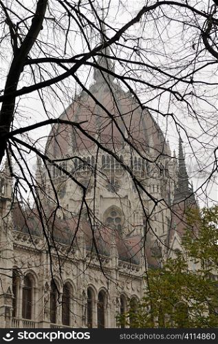 Hungarian Parliament Building and winter trees in Budapest, Hungary