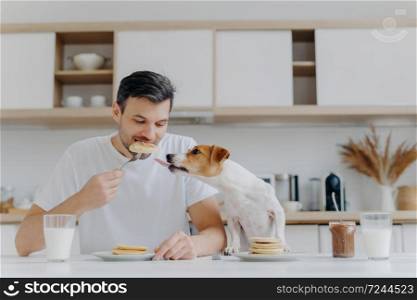 Hungry man eats sweet pancakes, uses fork, drinks fresh milk, dog sticks out tongue, asks to eat, sit at white table in modern kitchen. Enjoying meal or dessert. Tasty snack. Mmm, how delicious
