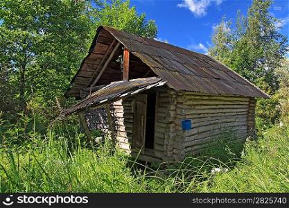 hunter&acute;s hut in a green forest