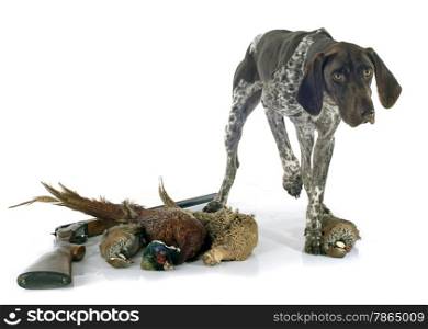 hunting games and dog in front of white background