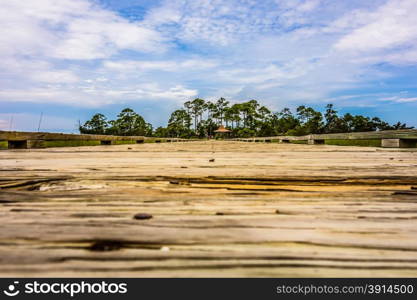 hunting island beach scenes