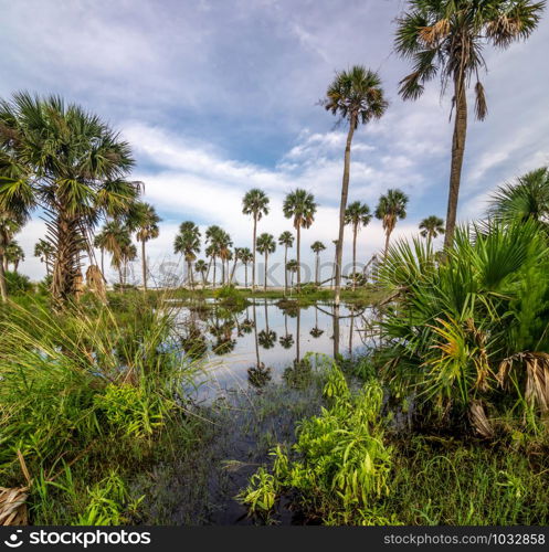 hunting island south carolina beach scenes