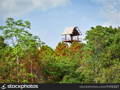 hunting tower lookout view animal wildlife in the forest