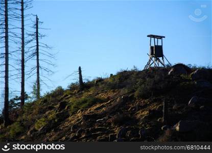 Hunting tower on the top of a hill in a clear cut forest area