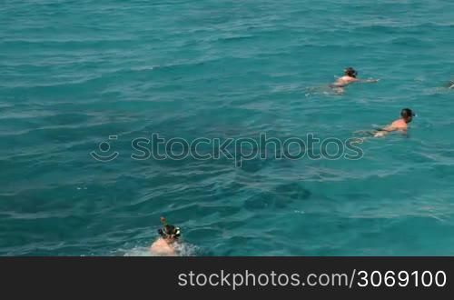 HURGHADA, EGYPT - FEBRUARY 1, 2014: Panning shot of tourists swimming in snorkeling masks in the pure sea water