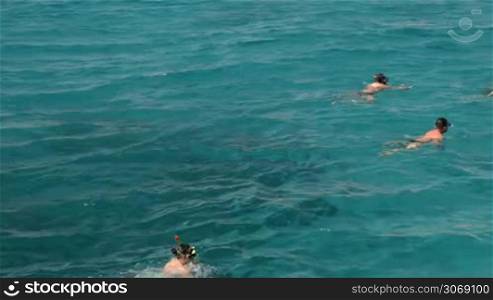 HURGHADA, EGYPT - FEBRUARY 1, 2014: Panning shot of tourists swimming in snorkeling masks in the pure sea water
