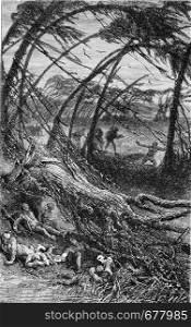 Hurricane on the island of Reunion, January 17, 1858, vintage engraved illustration. From the Universe and Humanity, 1910.