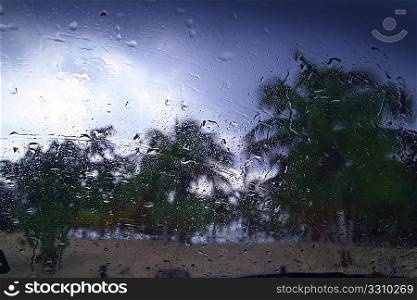 Hurricane tropical storm palm trees from car inside window glass water drops