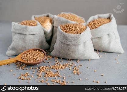 Husbandry concept. Raw buckwheat in sacks, wooden spoon near, splited cereals, isolated over grey background. Roasted groats or grains