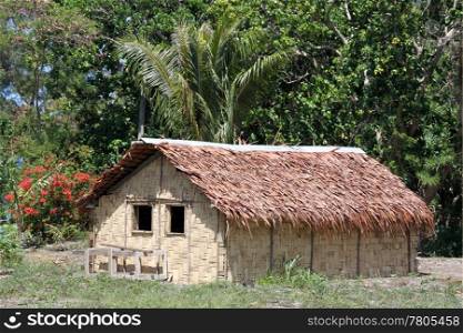 Hut and trees in Efate island, Vanuatu