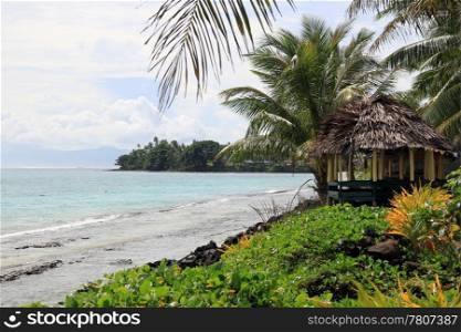 Hut, green grass and palm trees on the beach in Samoa