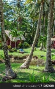 Hut in a tropical palm grove
