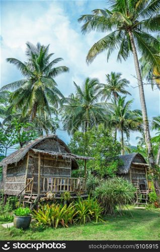 Hut in a tropical palm grove