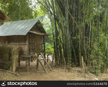 Hut in bamboo forest, Ban Gnoyhai, Luang Prabang, Laos
