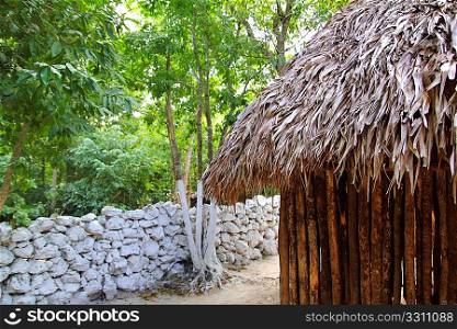 Hut palapa mexican jungle Mayan house roof wall detail