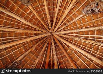 Hut palapa traditional cabin sun roof wiev from above Mexico architecture