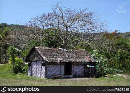 Hut under the tree in Efate island, Vanuatu