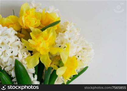 hyacinth and daffodils flowers bouquet over white background close up. hyacinth and daffodils