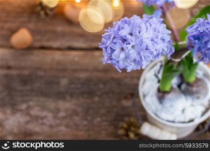 Hyacinths flowers in white pot on wooden background with bokeh lights. Hyacinths flowers