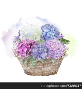hydrangea flowers in a basket . watercolor painting. hydrangea flowers in a basket.Watercolor .