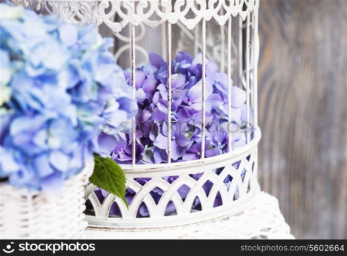 Hydrangea flowers in the white birdcage. Flower decor for the home