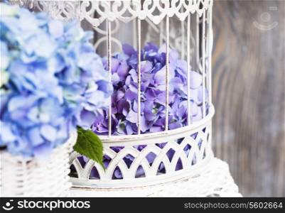 Hydrangea flowers in the white birdcage. Flower decor for the home