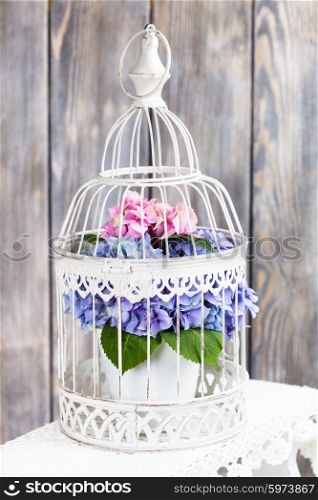 Hydrangea flowers in the white birdcage. Flower decor for the home. Hydrangea flowers