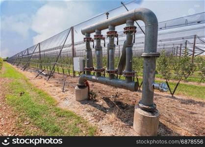 Hydraulic plant for submersible pumping system in an orchard.
