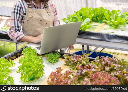 Hydroponic female farmer collecting vegetable growth information and using laptop for upload data to customer for online trading internet for sale. Technology and modern business communication concept