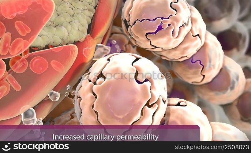 hydrostatic pressure in the capillaries increases the production of tissue fluid, allowing more water to come out 3D illustration. hydrostatic pressure in capillaries