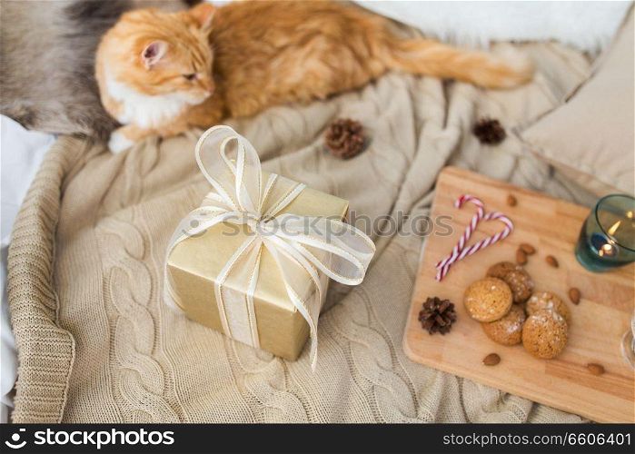 hygge and christmas concept - red tabby cat lying on blanket with gift, oatmeal cookies and candle at home. red cat lying in bed with christmas gift at home