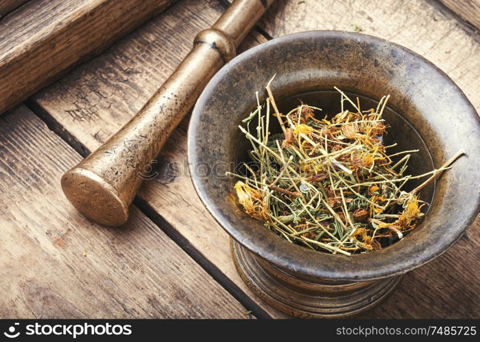 Hypericum perforatum.Healing herbs in old bronze mortar.Medicinal plant. Dry yellow flowers Hypericum