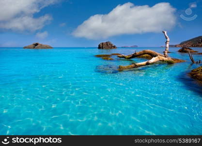 Ibiza Aigues Blanques Aguas Blancas Beach at Santa Eulalia Balearic Islands of spain