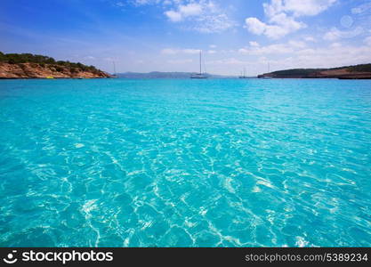 Ibiza Cala Bassa beach with turquoise Mediterranean sea at Balearic Islands