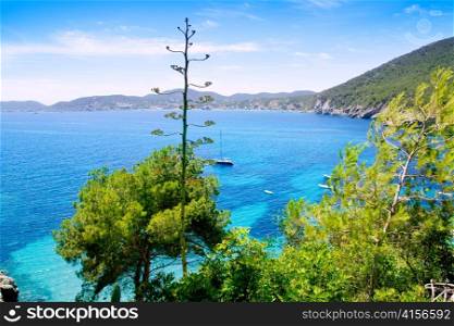 Ibiza Cala de Sant Vicent caleta de san vicente beach turquoise water