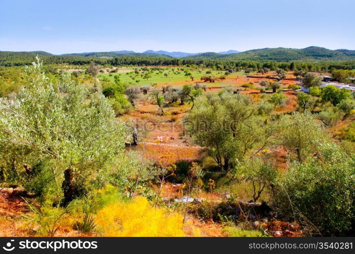Ibiza island landscape with agriculture fields on red clay soil