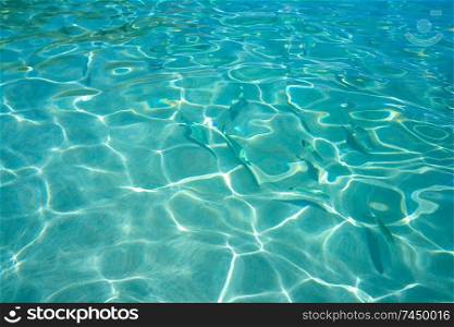 Ibiza Portinatx Arenal Petit beach clear water fishes in Balearic Islands
