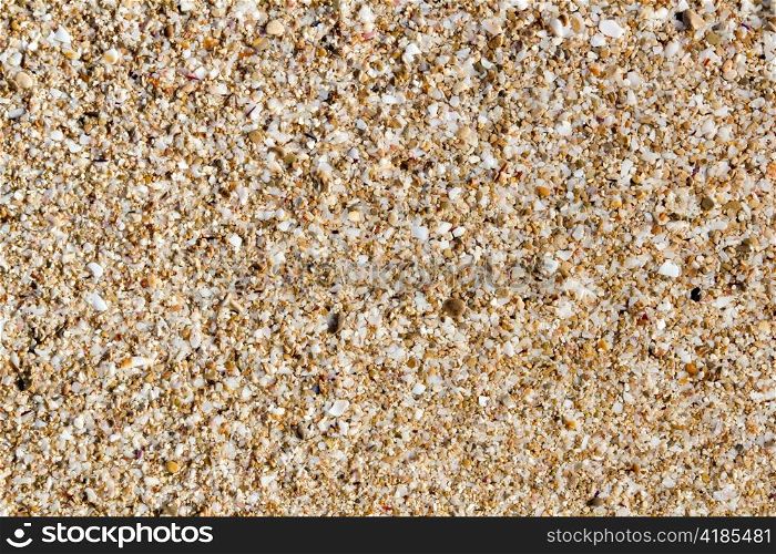 Ibiza sand macro soil texture with little cracked shell bits