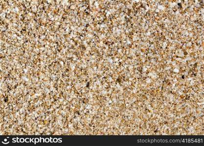Ibiza sand macro soil texture with little cracked shell bits