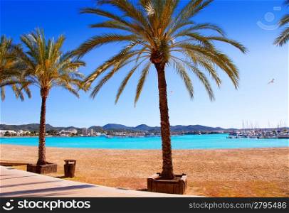 Ibiza Sant antoni de Portmany Abad beach with palm trees