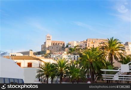 Ibiza town of Eivissa with palm trees and downtown houses and church